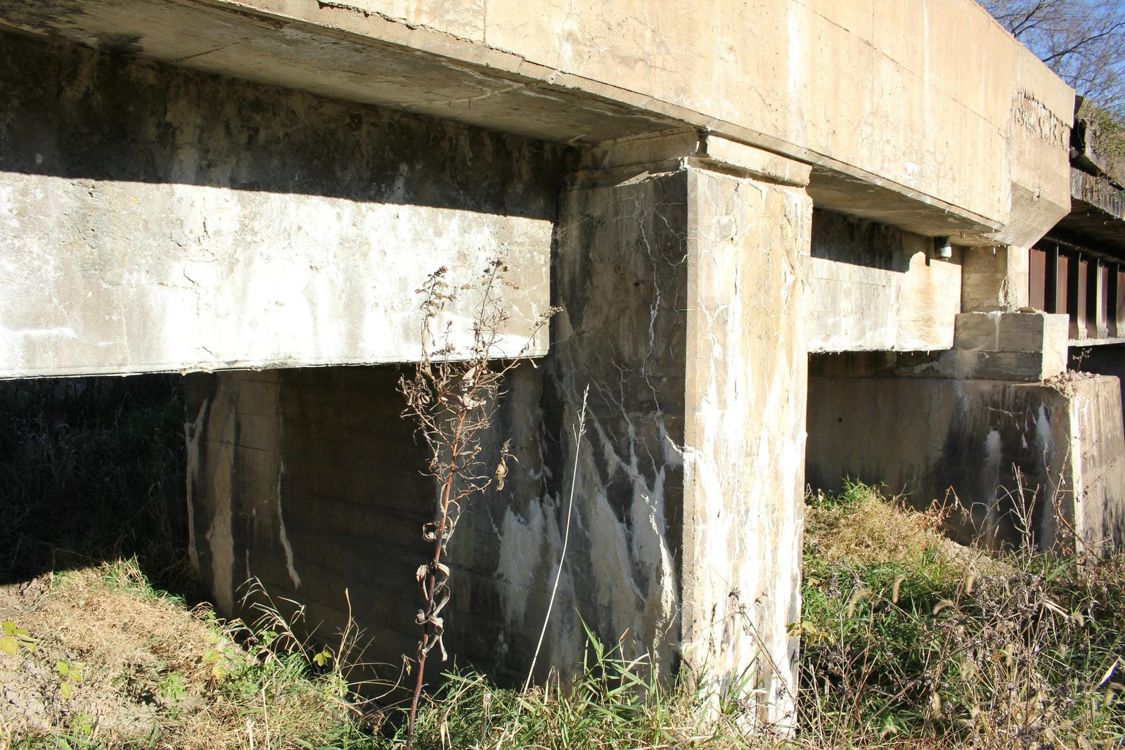 Pier #7